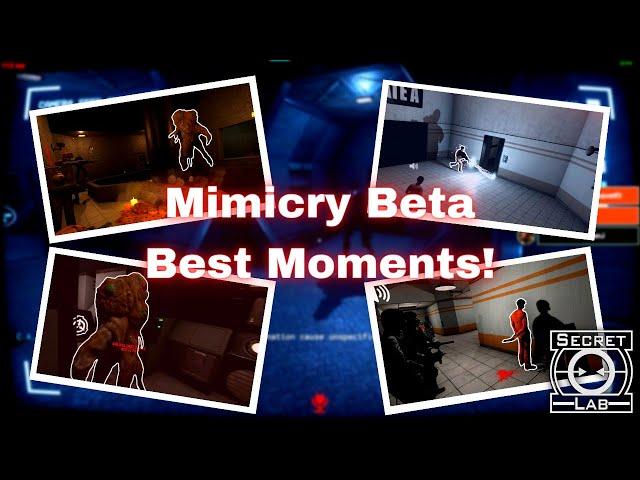 The BEST SCP: SL Mimicry Beta Moments!