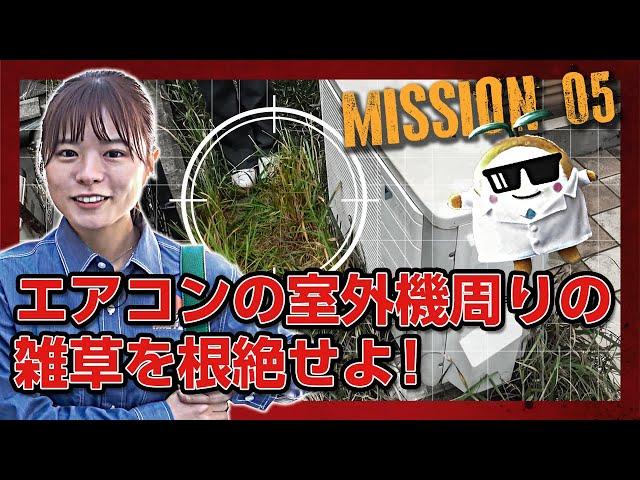Mission05エアコンの室外機周りの雑草を根絶せよ！思わず”見て見ぬフリ”をしたくなる場所の雑草ハンター”ふたば”が家庭用除草剤ラウンドアップで指令されたミッションをクリアできるのか?!