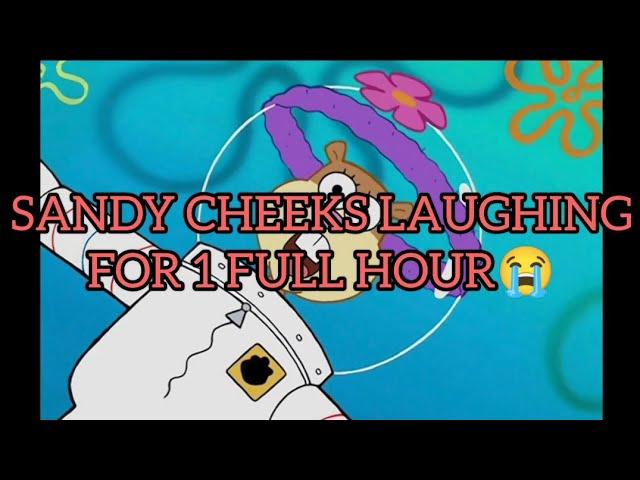 SANDY CHEEKS LAUGHING FOR 1 FULL HOUR 