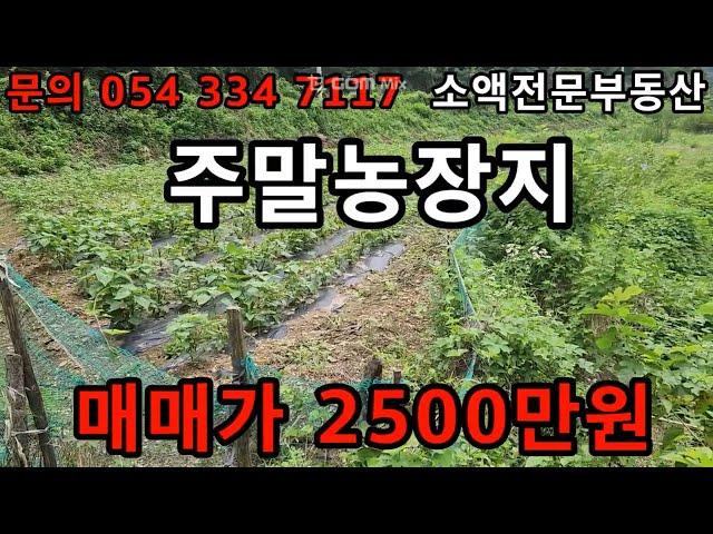 (NO.623) 영천땅 영천부동산  주말농장지  매매가 2500만원  땅사모TV