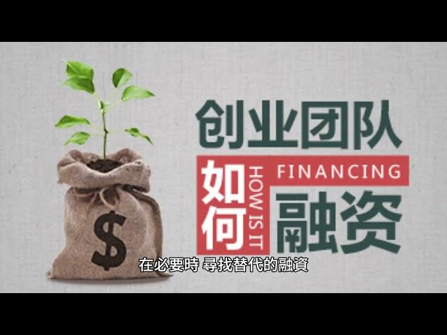 創業資金解鎖 | 從小型貸款到大灣區資助