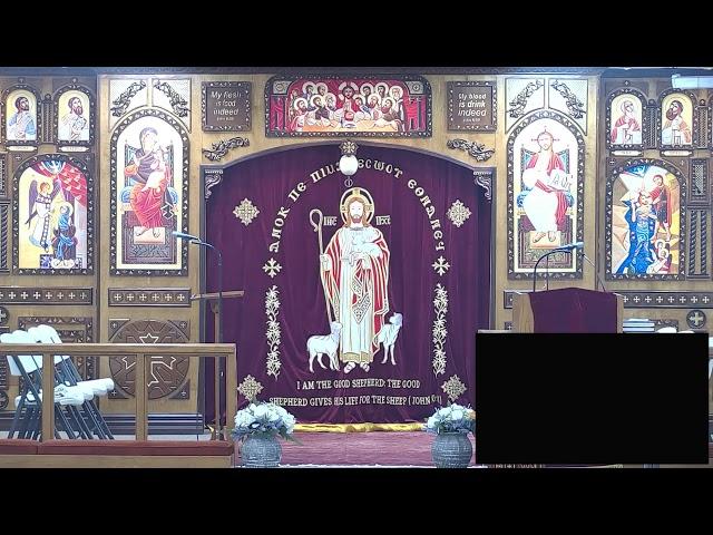 St Luke ACOC Live Stream