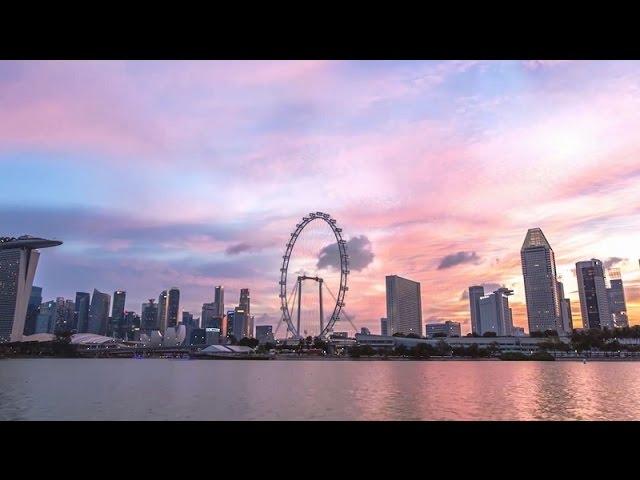 Singapore Tourism Board - Tourism Year-in-Review 2015