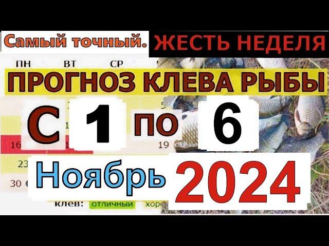 Прогноз клева рыбы на Эту неделю с 1 по 6 ноября 2024 Лунный Календарь рыбака Лунный прогноз клева