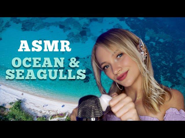 ASMR Ocean & Seagulls  1 Hour of Your Favorite Trigger (No Talking)