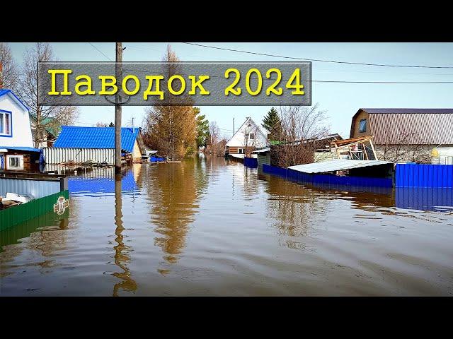 Паводок в городе Курган 2024  / СНТ Дружба КЗКТ взгляд изнутри / река Тобол