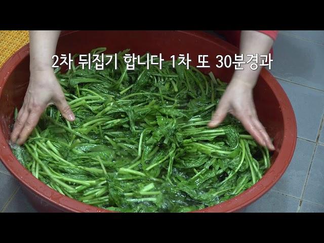 질긴열무도 부드럽게 쓴맛은 제거 열무김치는 아삭아삭 맛있게 담는법 /비법공개