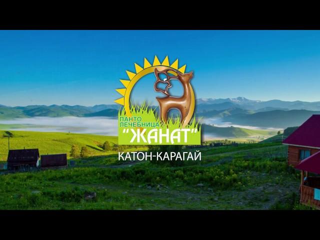 Пантолечебница "Жанат"