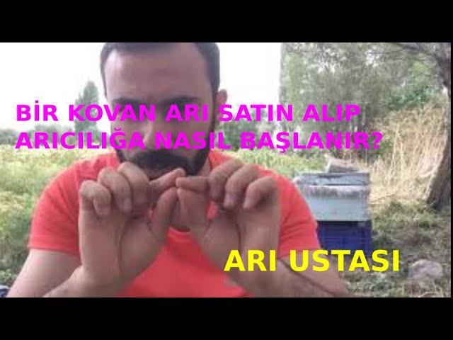 BİR KOVAN ARI SATIN ALIP ARICILIĞA NASIL BAŞLANIR? Arı Ustası Sıfırdan Kolay Arıcılık Kursu-2