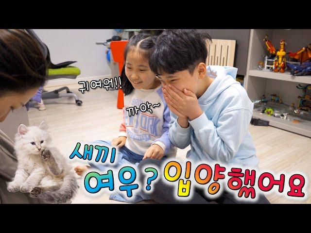 막내가 생겼어요 !! 구미호 ?! 개처럼 졸졸 따라다녀요 ㅎㅎㅎ 심쿵사 주의