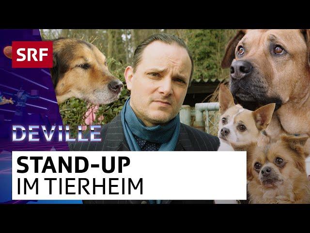 Deville im Tierheim | Deville