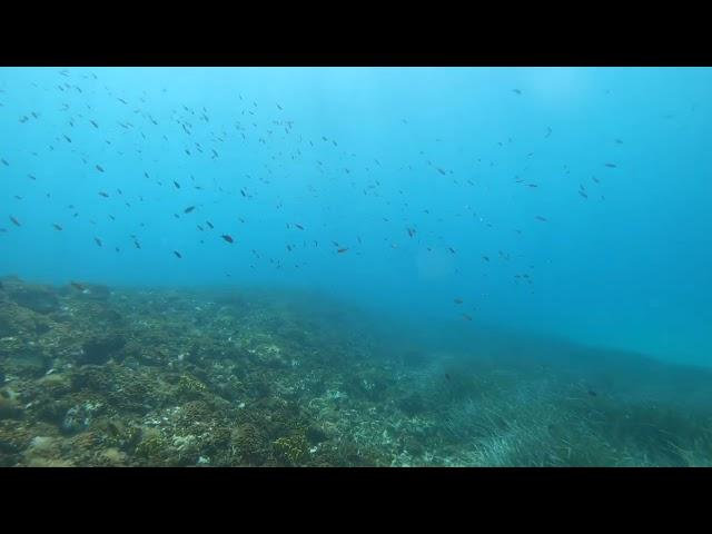 Scuba diving in Halkidiki #scubadiving #halkidiki #sea #greece #deepbluesea