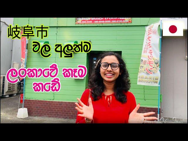 Gifu වල අලුත්ම කෑම කඩේ | Minami kitchen hashima | LIFE IN JAPAN 