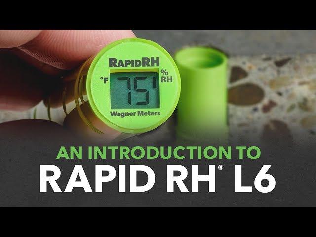 Rapid RH L6: Green Is the New Orange