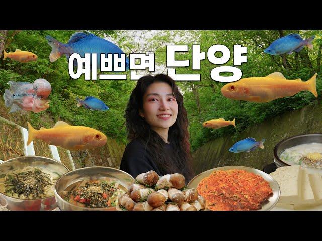 하루 꽉 채운 단양 여행 풀코스 아무도 모르는 맛집도 다녀왔어요!! 단양 바이브