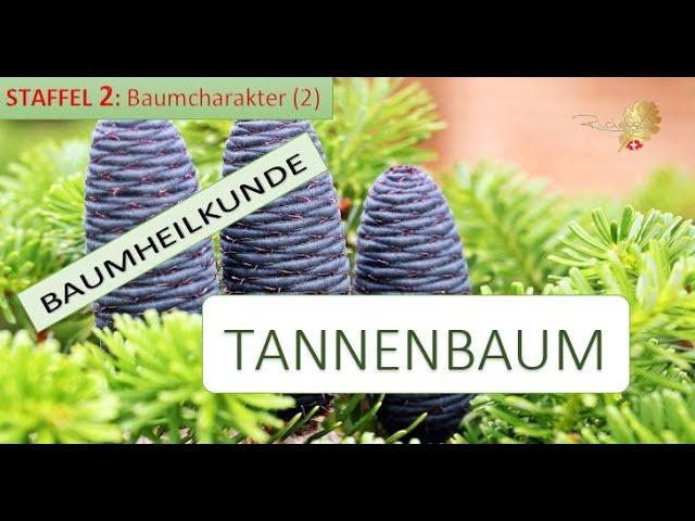 Der TANNENBAUM - Durch Loslassen zur Freiheit - Doris Richter