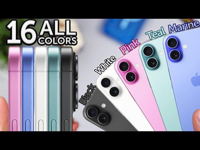 iPhone 16: All Colors In-Depth Comparison! Which is Best?