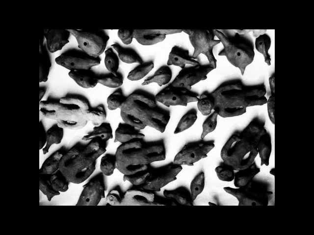 sediments/tk Hareendran