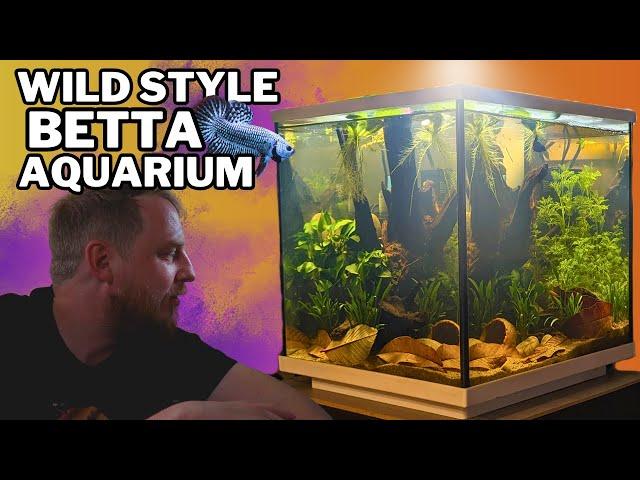 Setting up an EASY natural Betta aquarium! (low tech, botanical aquascape tutorial)