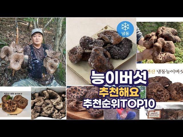 능이버섯 이거추천합니다. 추천순위 TOP10