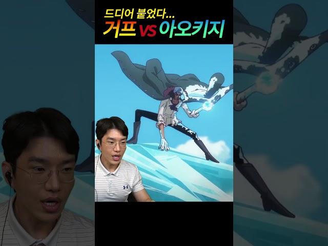 거프 vs 아오키지 드디어붙었다...ㄷㄷ