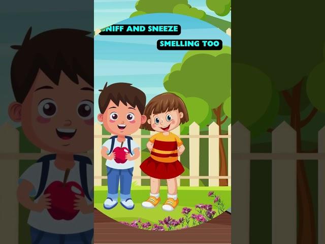 Parts of the FACE: KIDS educational videos kindergarten, 1st grade English Reading: Vocabulary