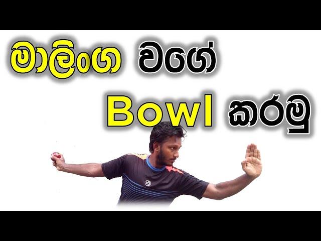 How to Bowl Like Lasith Malinga | Fielding JayA