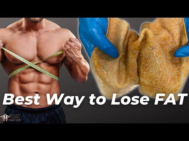 The Best Way to Lose Fat | The Science of the Fat Burning Zone