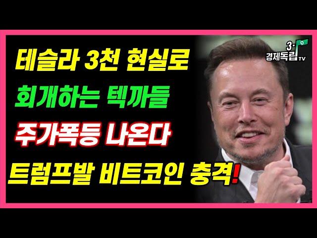 [테슬라 3천 현실로? 회개하는 텍까들!! 주가폭등 나온다!! 트럼프발 비트코인 충격!! ]#3.1경제독립tv