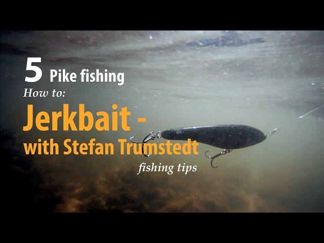 How to • Pike fishing • Jerkbait - with Stefan Trumstedt • fishing tips