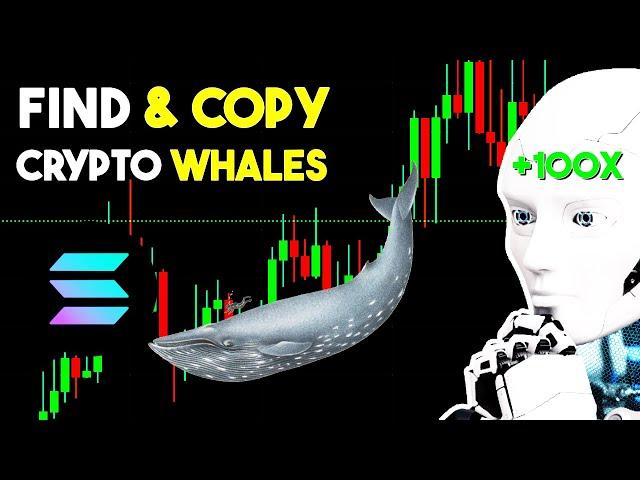 How To Track Solana Memecoin WHALE Wallets & COPY Their Trades With An AI BOT!