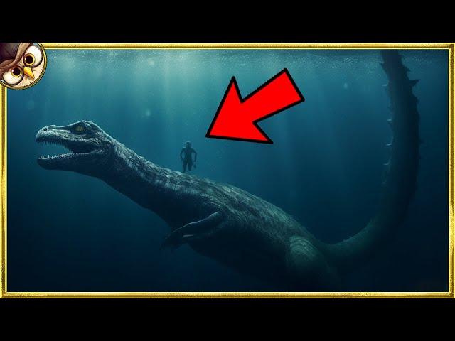 50 Mysterious Sea Creatures Caught On Camera