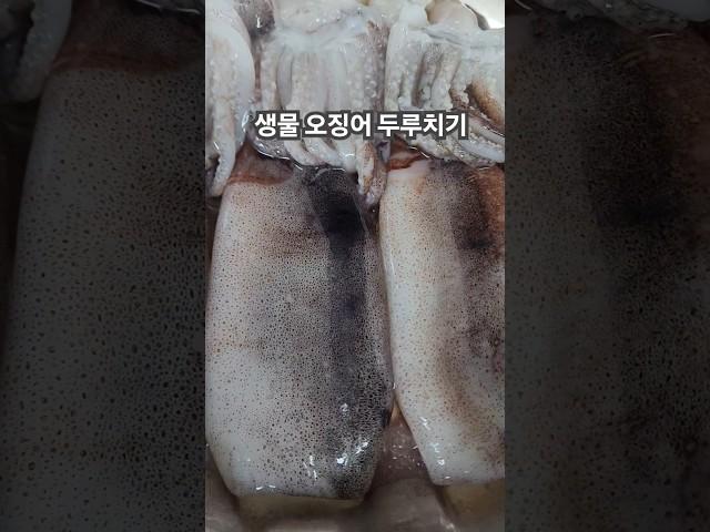 생물 오징어 두루치기! #찔레꽃#김용빈#트롯