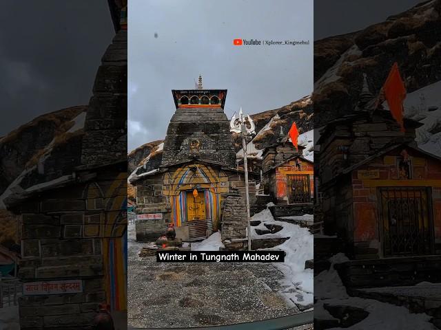 Tungnath Mahadev Winter | Har Har Mahadev Shambhu | Winter Tungnath #tungnath #snowfall #chopta #yt