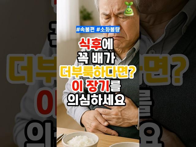 식후에 꼭 배가 더부룩하다면? 이 장기를 의심하세요!(1분요약) #건강 #건강관리 #건강생활 #건강정보