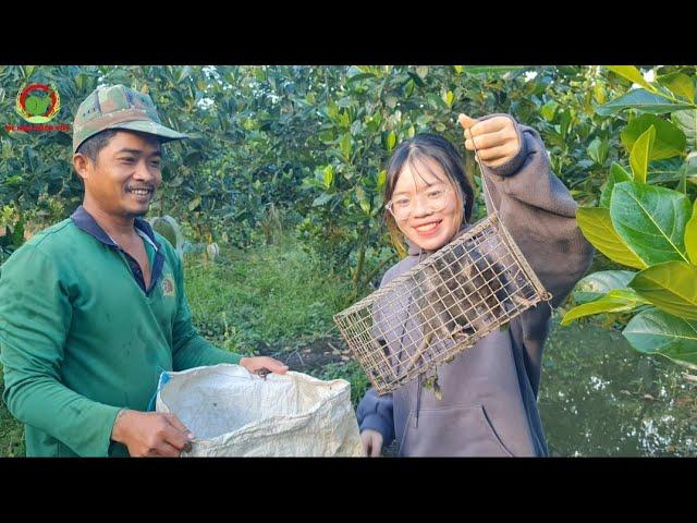 Lâu Ngày Trở Lại Đặt Bẫy, Gặp Ngay Bầy Cống Nhum Quá Khủng_Trúng Đậm| ỐcNhỏMiềnTây #25