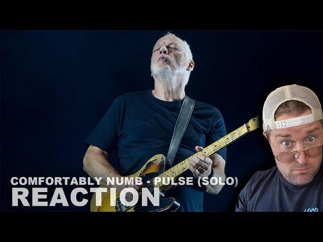 Guitarist Reacts to David Gilmour Solo - Comfortably Numb - Pulse