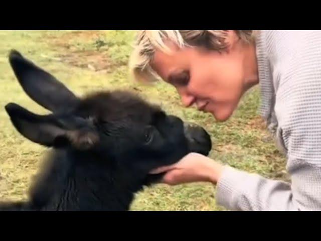 Donkey makes sweetest sound for human mom