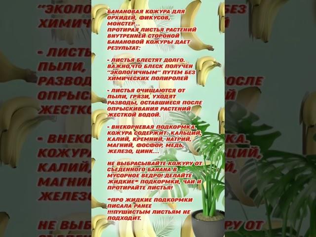 Натереть до блеска!