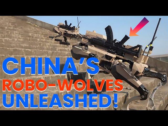 China's Robo Wolves Unveiled at Airshow China 2024