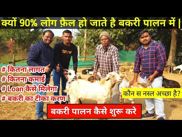 How to start Goat Farming Business | bakri palan kaise suru kare | बकरी पालन full business plan#farm