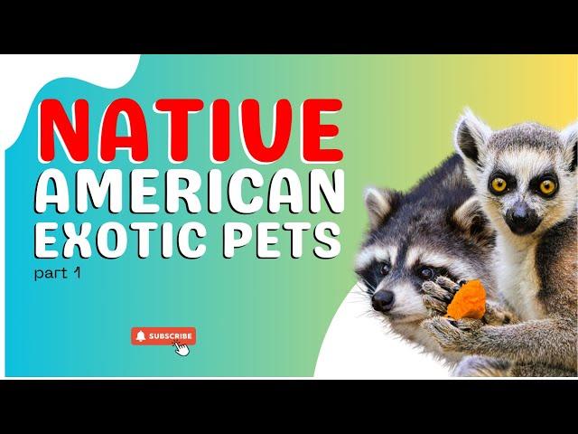 10 Exotic Pets You Can Own That Are Native to the United States Part 1