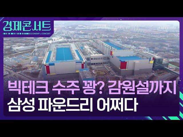 빅테크 수주는 감감무소식…삼성 파운드리 괜찮나 [경제콘서트] / KBS  2024.09.12.