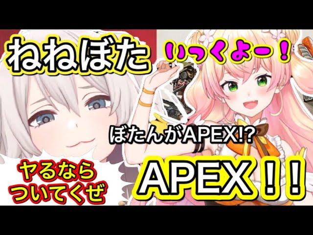 【APEX】ねねぼたAPEX！！この2人ヤバすぎ！？【ホロライブ/桃鈴ねね/獅白ぼたん/切り抜き】