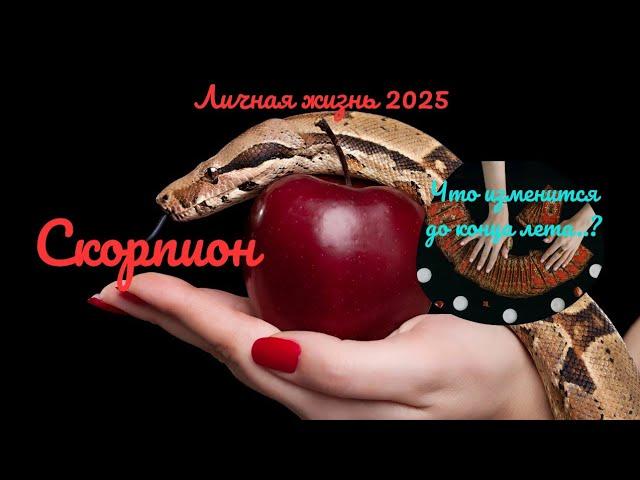 ️️СКОРПИОН️ЛИЧНАЯ ЖИЗНЬ ДО КОНЦА ЛЕТА 2025КАК ИЗМЕНИТСЯ ВАША ЖИЗНЬ..? ПЕРЕМЕНЫTarò Ispirazione