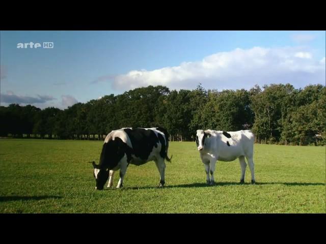 Xenius - Killerkeime - Droht Gefahr aus dem Tierstall [Doku HD]