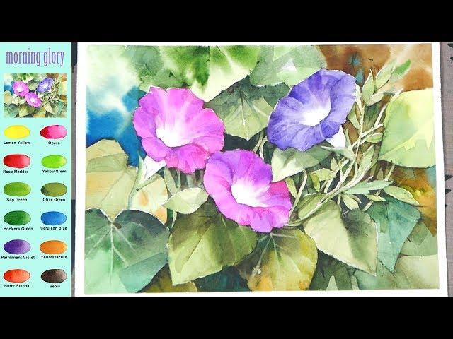 Flower Watercolor - morning glory (sketch & color mixing process) NAMIL ART