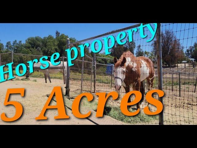  HORSE property for sale in Temecula Ca. 5 ACRES 