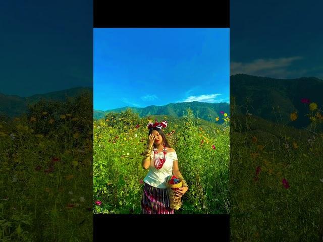 #music #mizoram #northeast