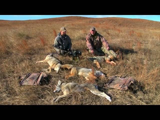 Coyote Hunting with Randy Anderson